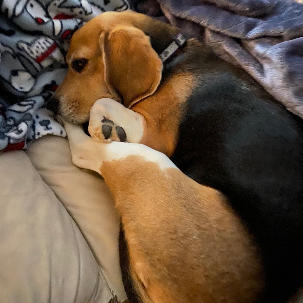 Meet your Posher, Aletta